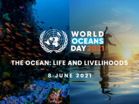 Un world ocean day 2021 supremarine