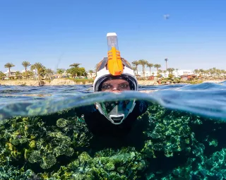 Dive into Unmatched Comfort and Safety with OCEAN REEF Aria QR Quick Release Snorkeling Mask 2