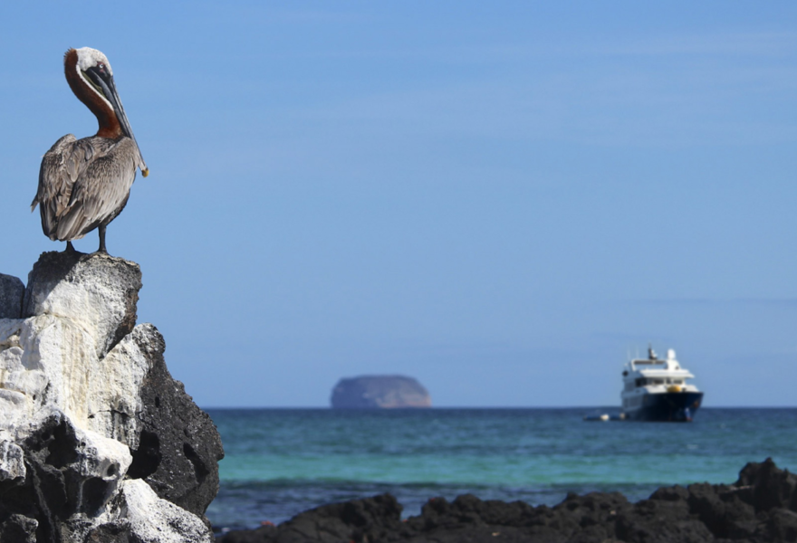 Galapagos Luxury Expeditions 1
