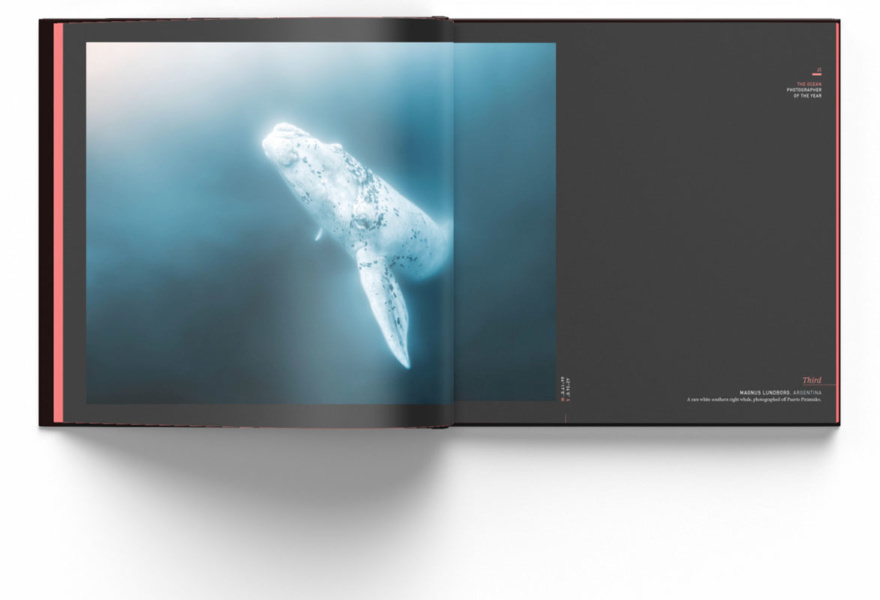 The Ocean Photography Awards Volume 1 6