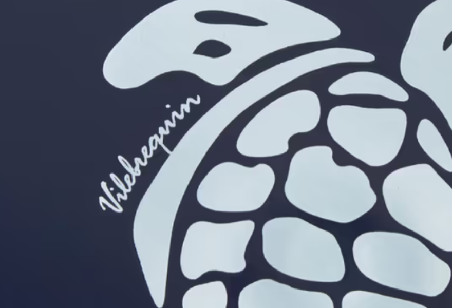 Vilebrequin Logo Print Frisbee 21